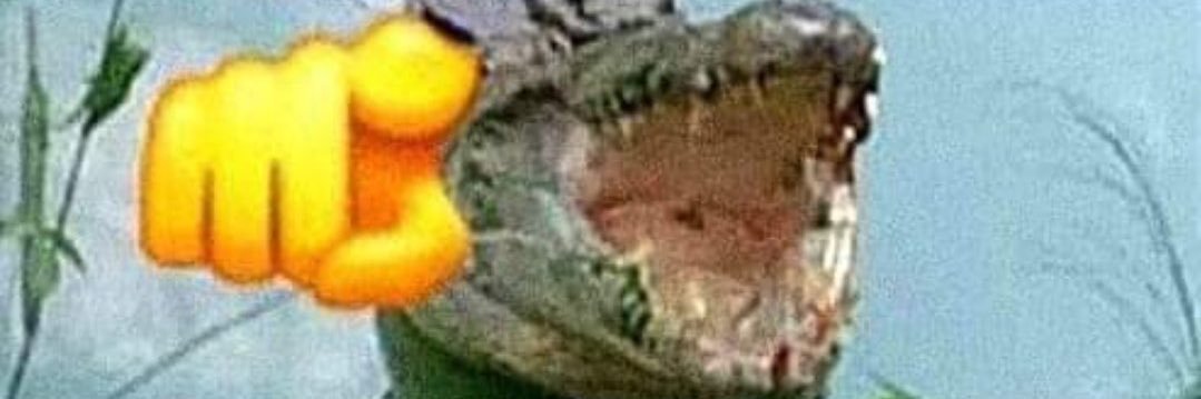 Guilherme (Otcho TTV) banner