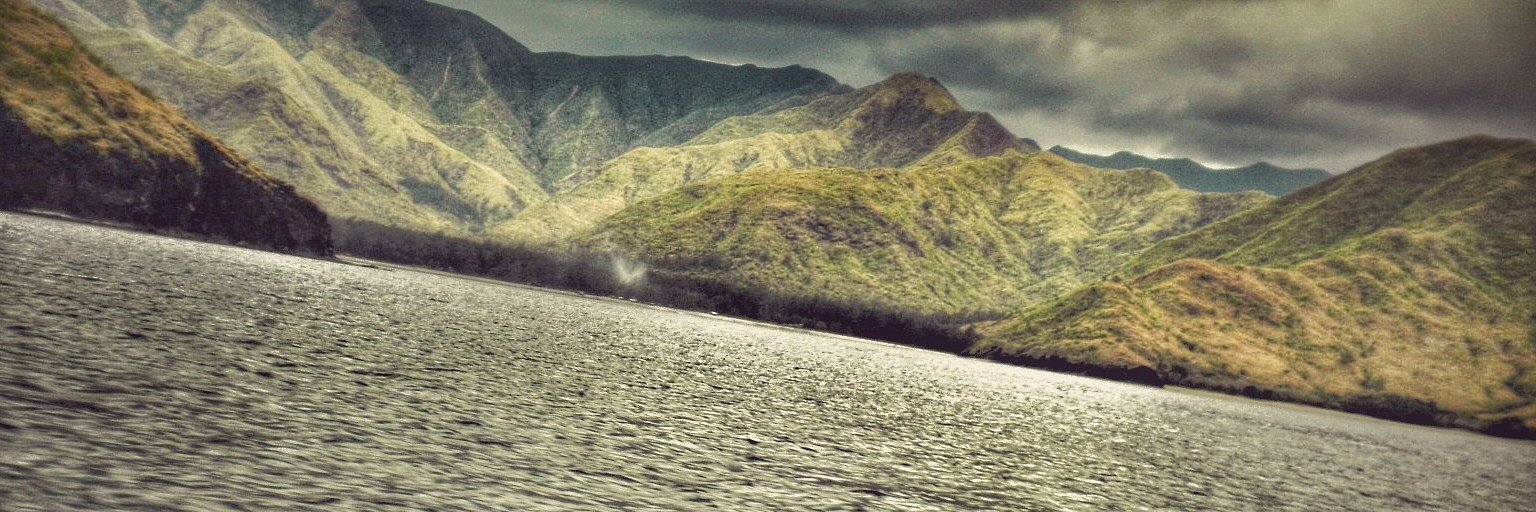mywanderfulmind's profile banner image