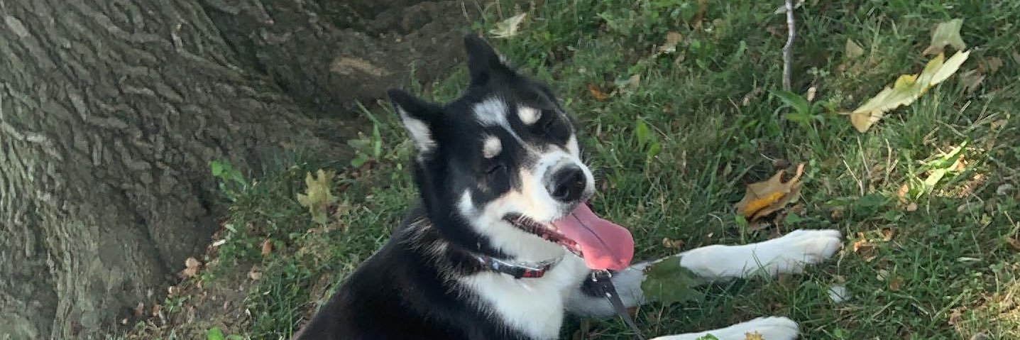 brady924's profile banner image