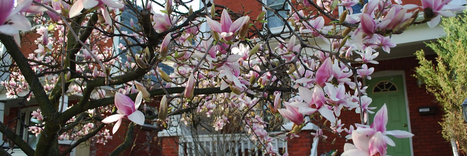 Sean Arbuckle banner