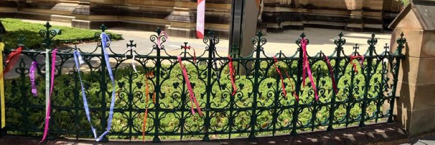 Fran McInerney banner