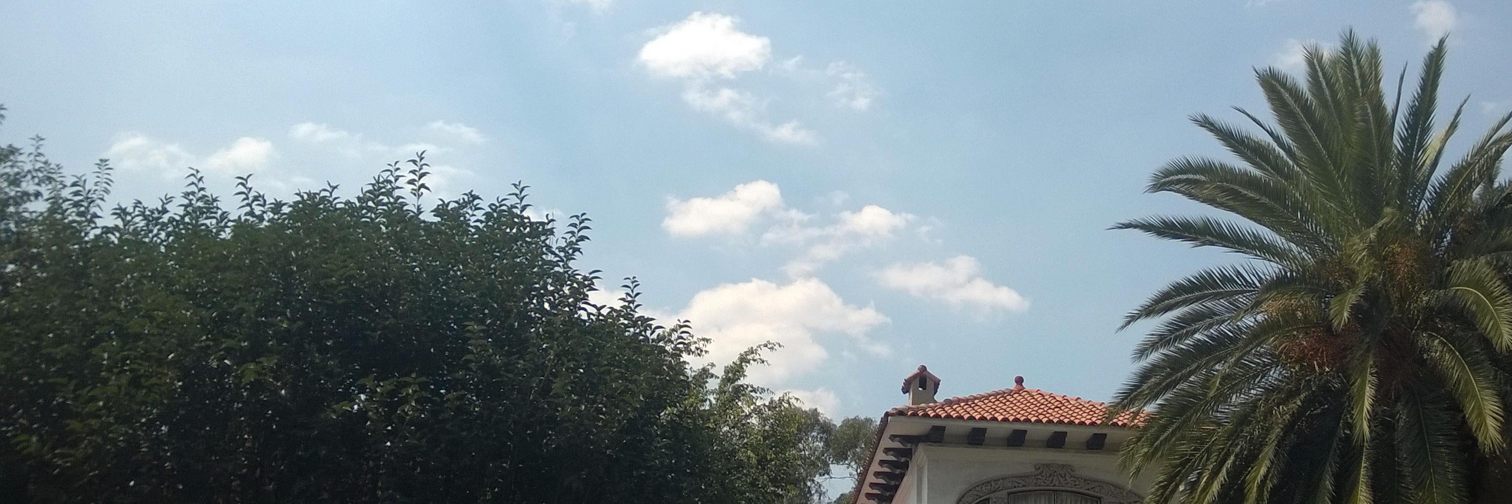 ViveBJ_Transparenta banner