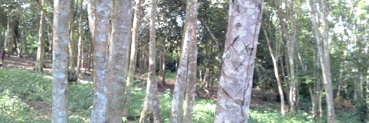 nana_mcclean's profile banner image