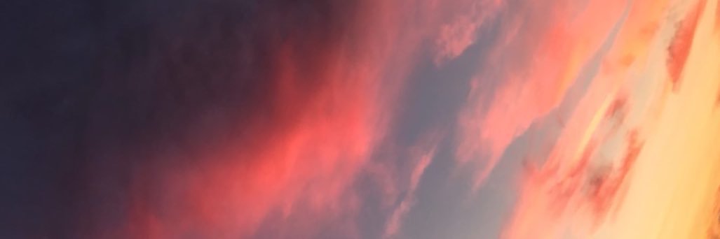AliciaVoo's profile banner image