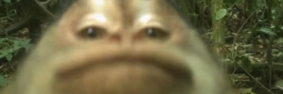 TheKrota's profile banner image