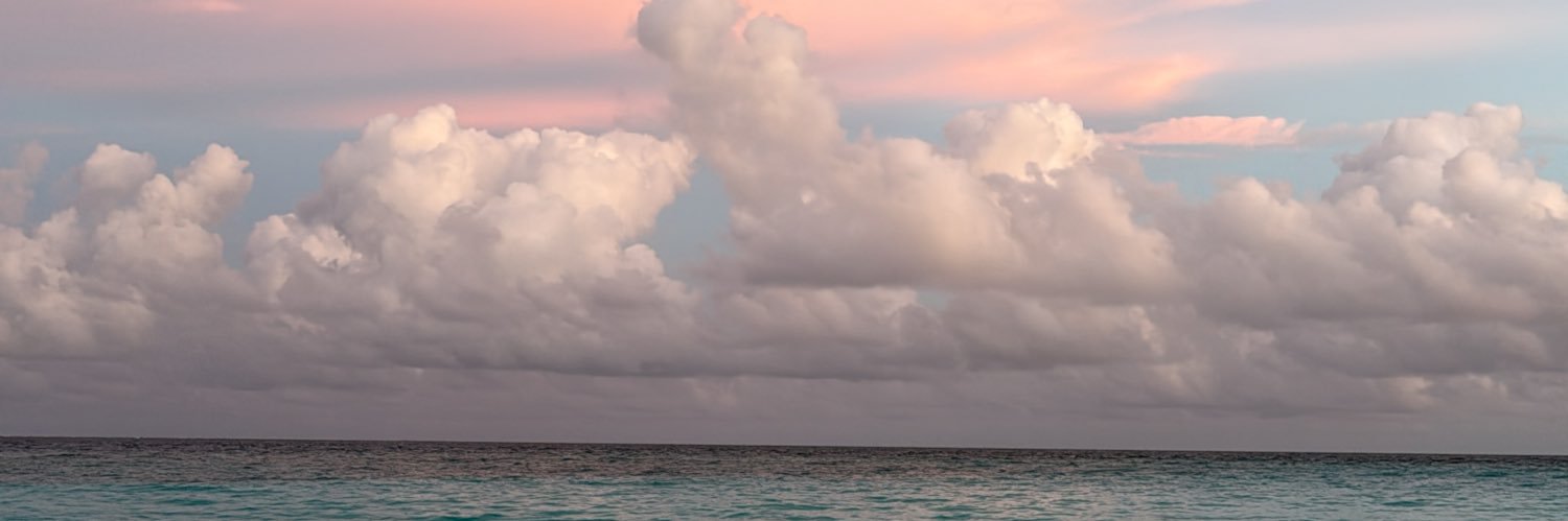 BA1alt's profile banner image