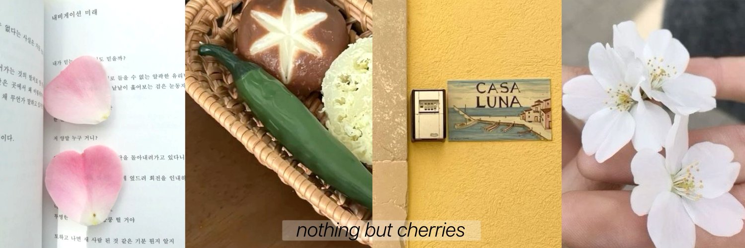 𝖬𝖾𝗋𝗈𝗇𝖺. banner