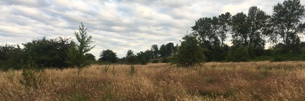 jerhende Profile Banner