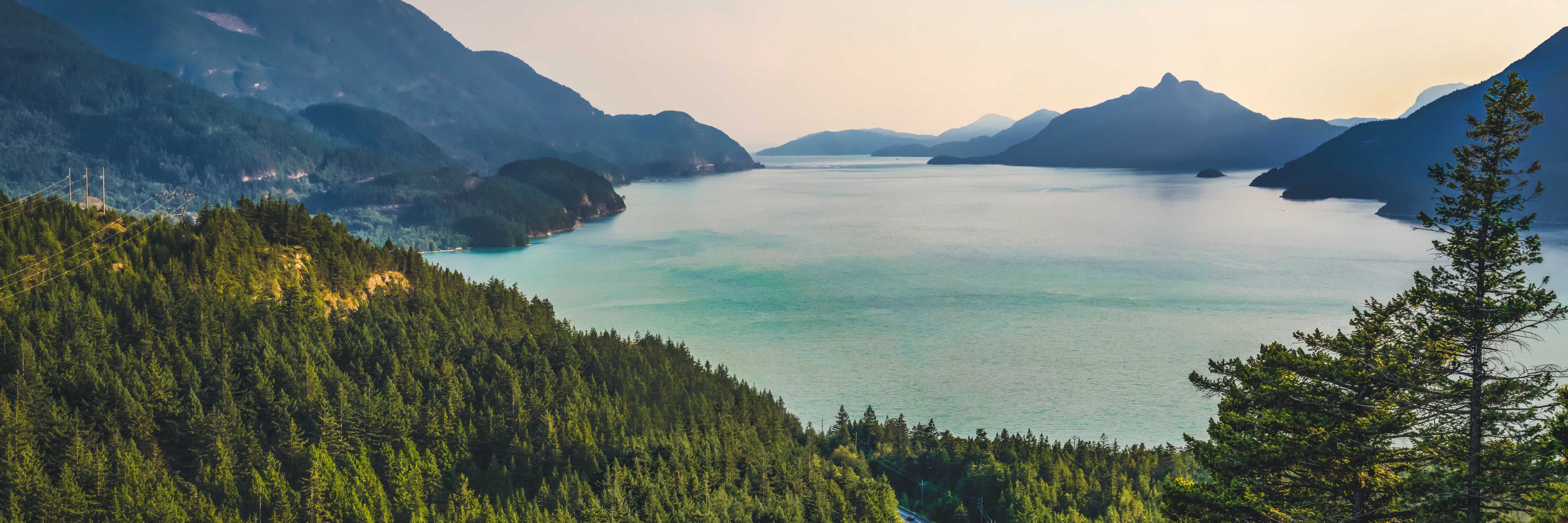 Ambre Maillet banner