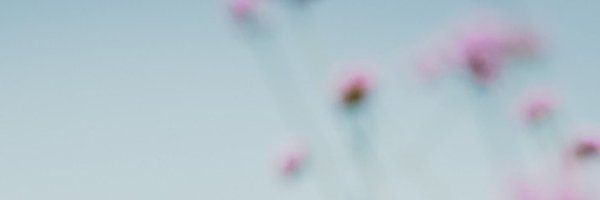mewmoppel Profile Banner