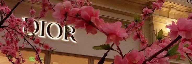 R0ck3tQueen's profile banner image