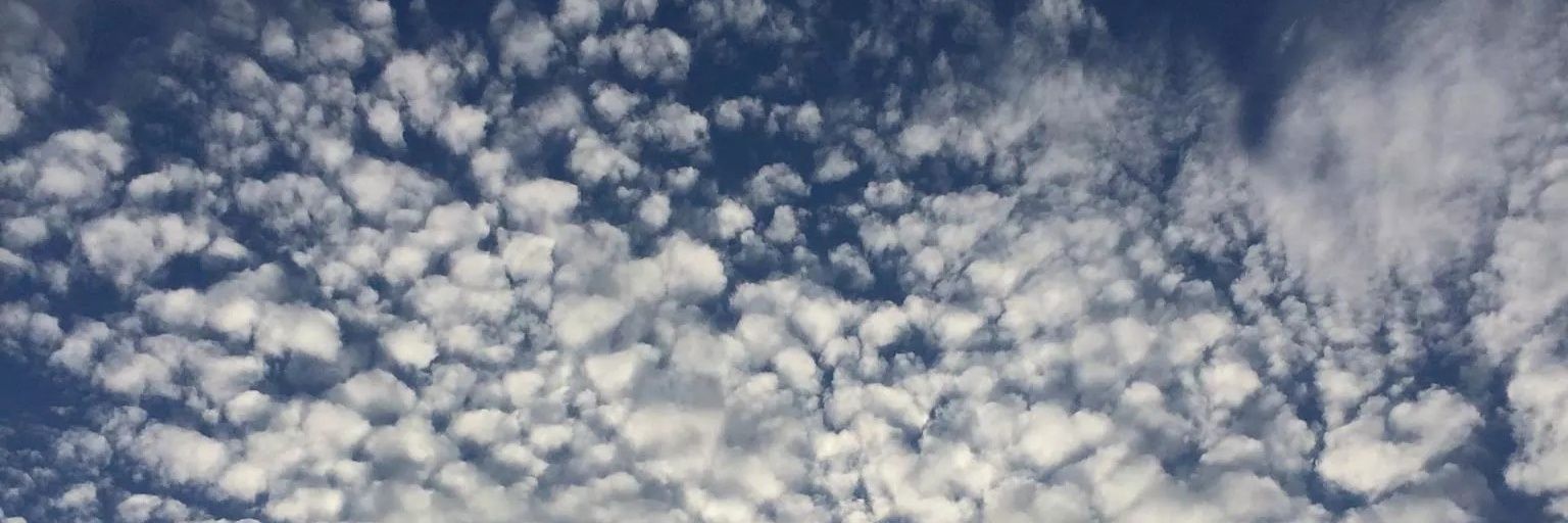 watercart2's profile banner image