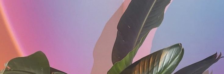 nosoytupeque's profile banner image
