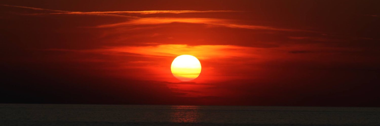 angi_paiu's profile banner image
