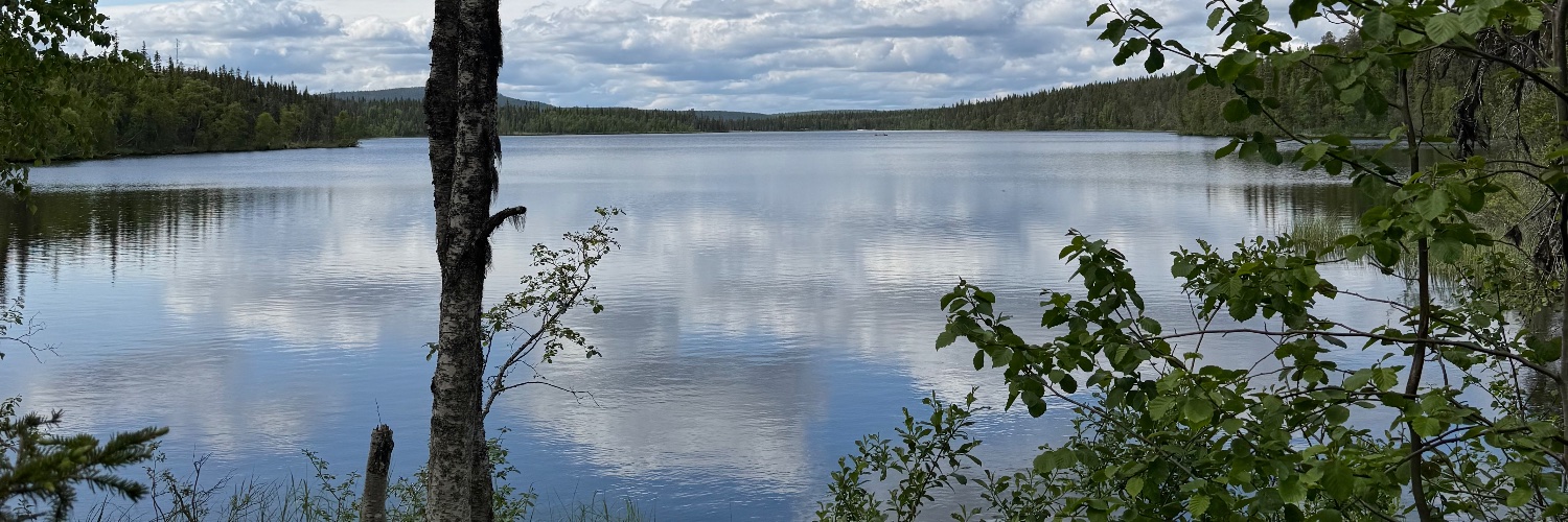 Scott Wilson 🇳🇿🇫🇮 banner