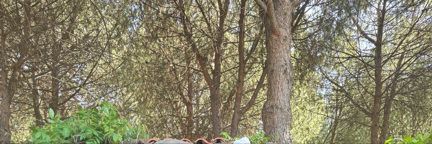 CanBuyukX's profile banner image