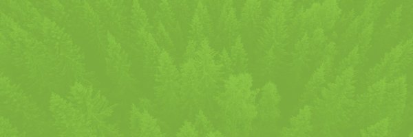 nebcorg Profile Banner