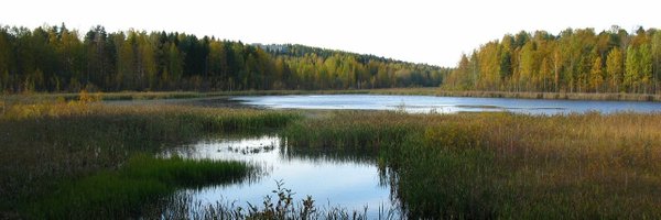 EmbFinMexico Profile Banner