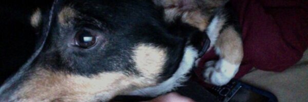 Traci_Jane Profile Banner