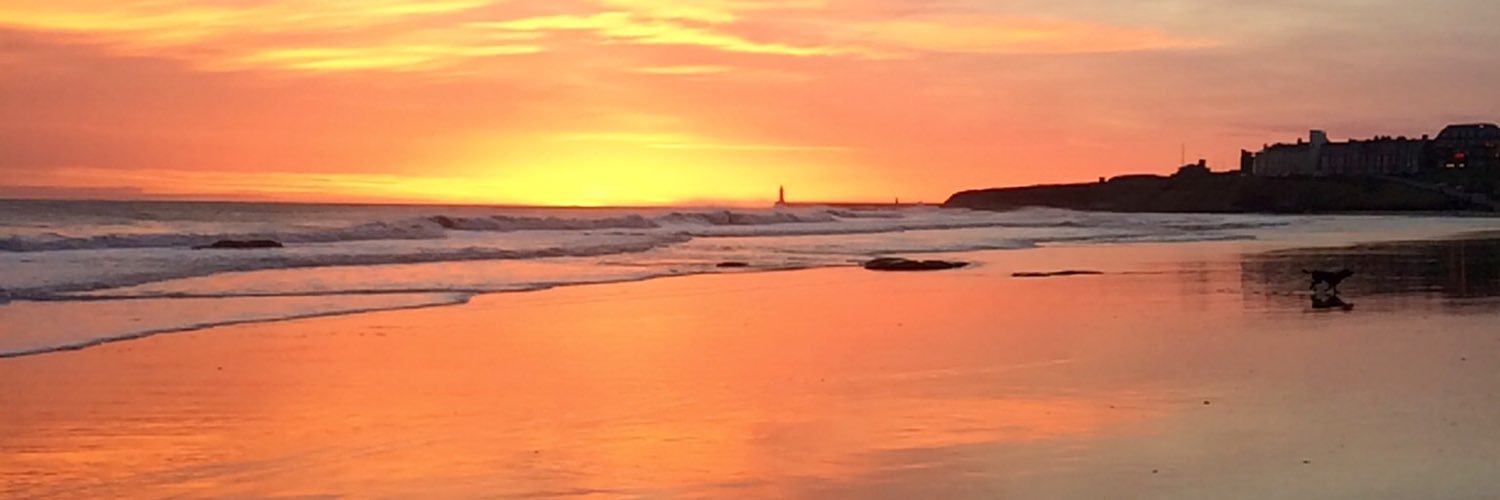 MichelleStaines's profile banner image