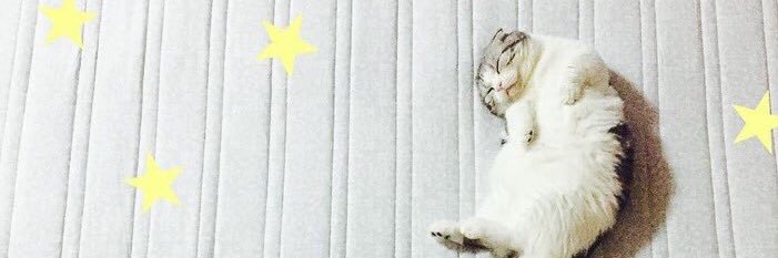 dearludeer77's profile banner image