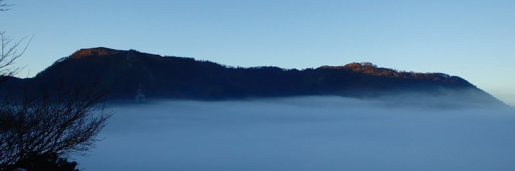 naparrene's profile banner image