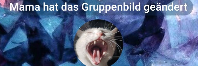 colourfulzebra's profile banner image