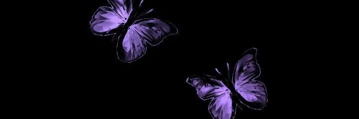 ntypng's profile banner image