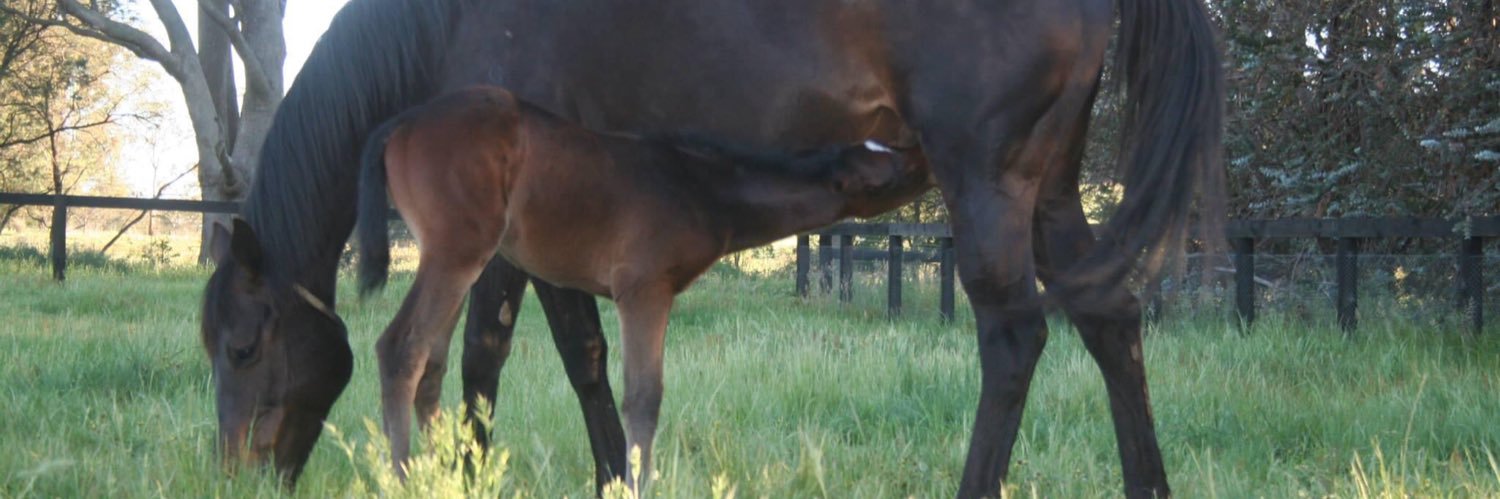 LiverpoolFarm's profile banner image