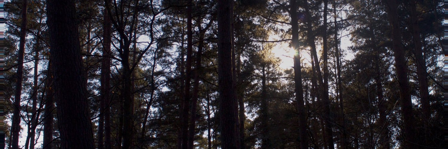 tom_barber22's profile banner image