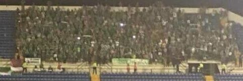 SENTIR INSISTIR PERSISTIR 💚🤍🦅 banner