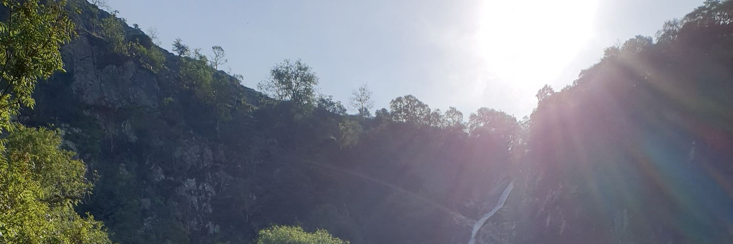 Rebecca Osborne banner