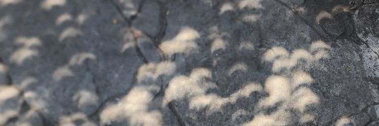 _Avida_Dollars's profile banner image