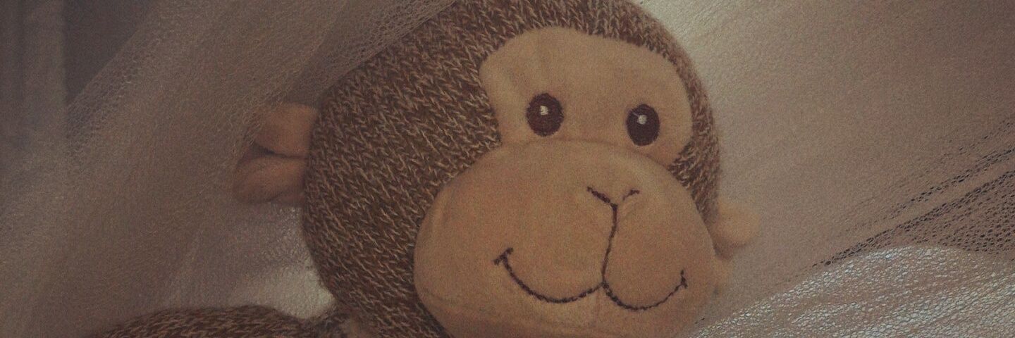 Georgia's Child banner