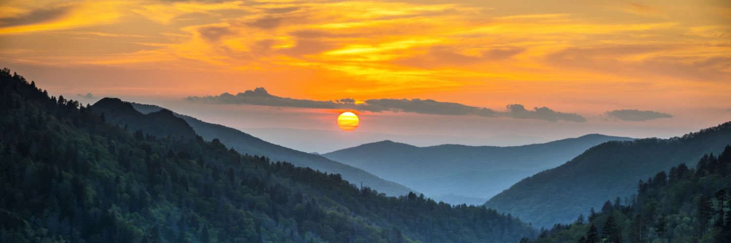 Scott McConnell banner