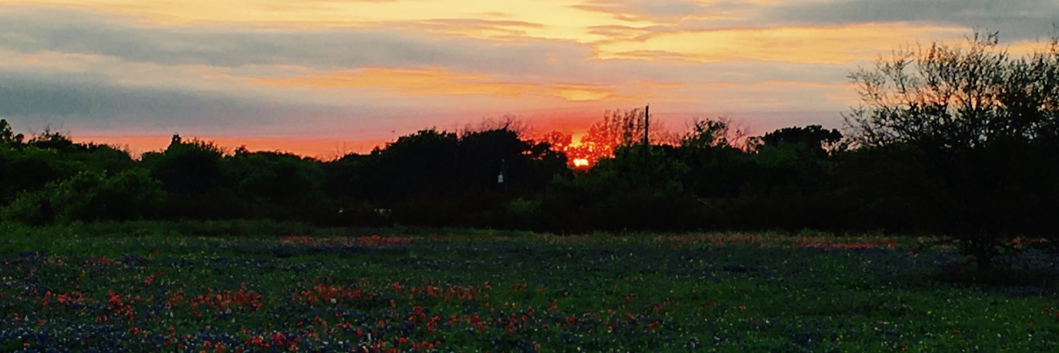 Rachel Mackey banner