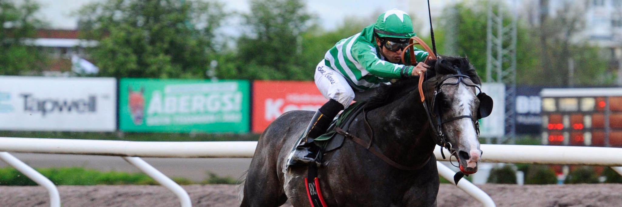 360 NorthHorseRacing banner