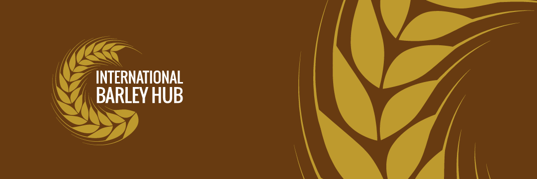 International Barley Hub's banner