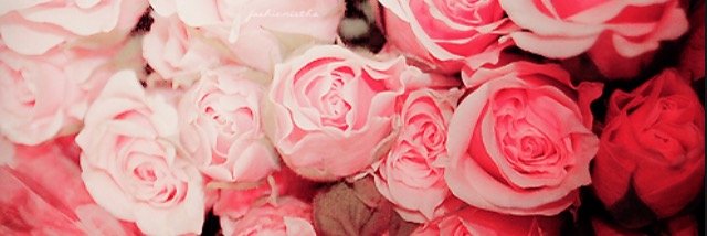 ShesKOLD_'s profile banner image