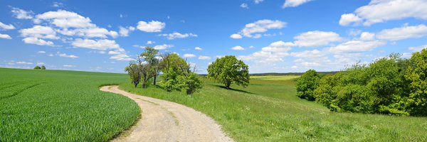 rowleymaggs Profile Banner