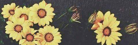 JulietaMtz147's profile banner image