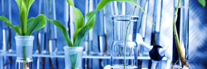 John. Plant Stem Cell Cosmetics 🌱🌞's banner