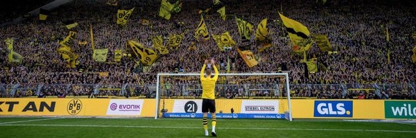 Dortmund sin límites 🐝 Profile Banner