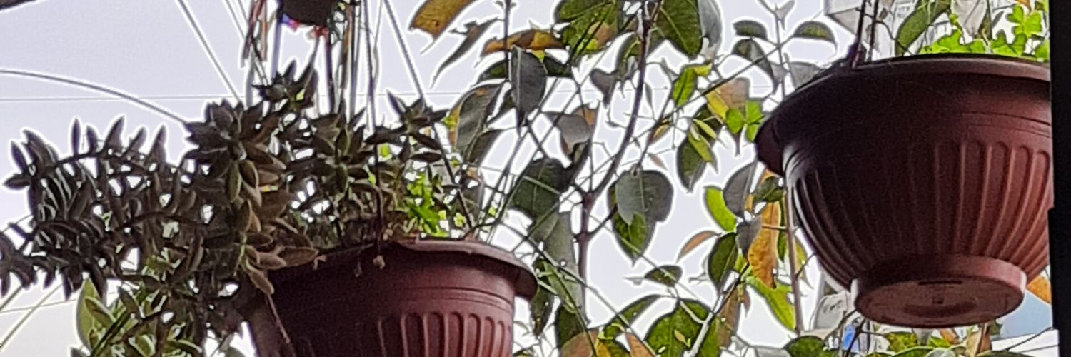 advait_soman's profile banner image