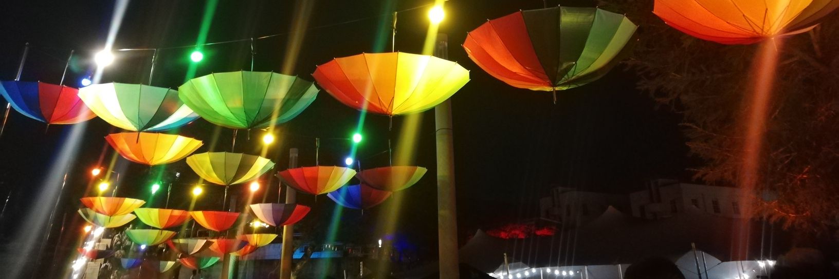 Andiswa Matikinca banner