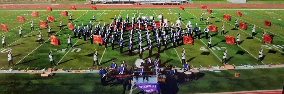 Laurie D'Amico banner