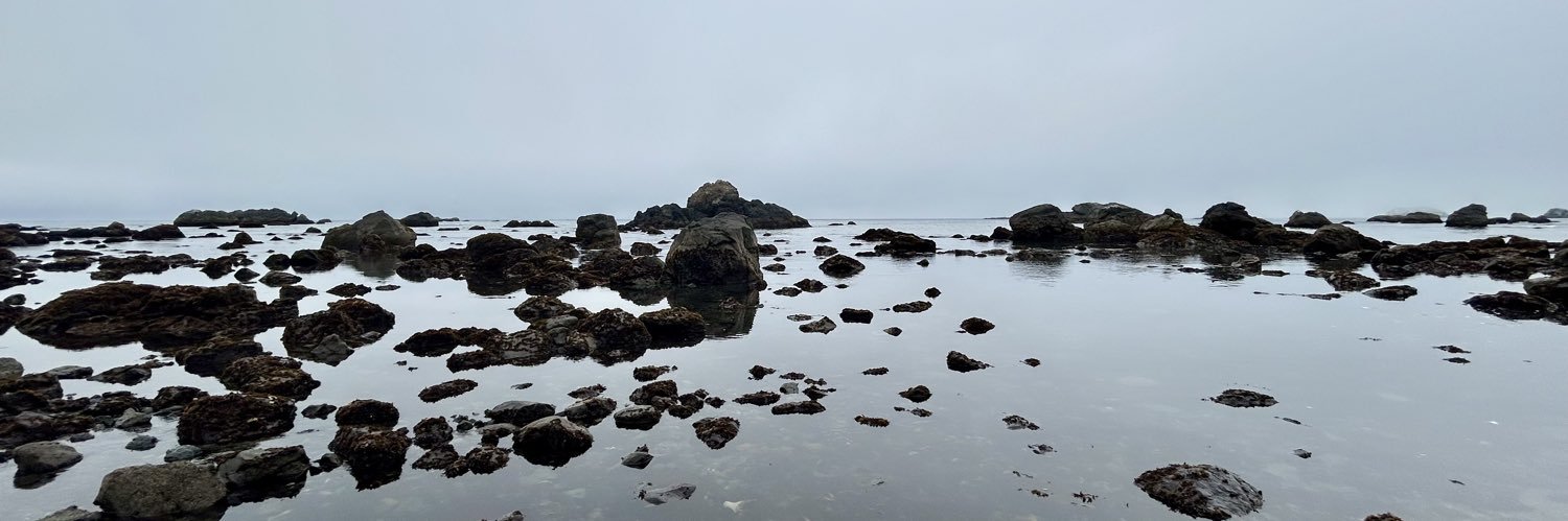 elliebee_'s profile banner image