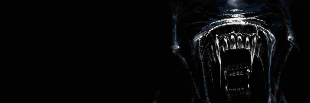 LorenaNorell's profile banner image
