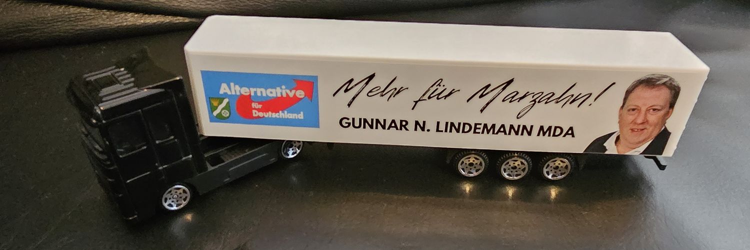 Gunnar Lindemann MdA's banner