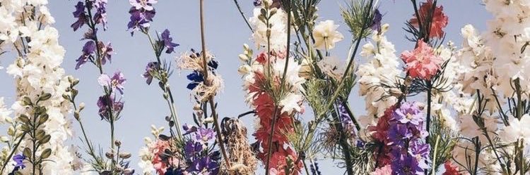 livmillr's profile banner image